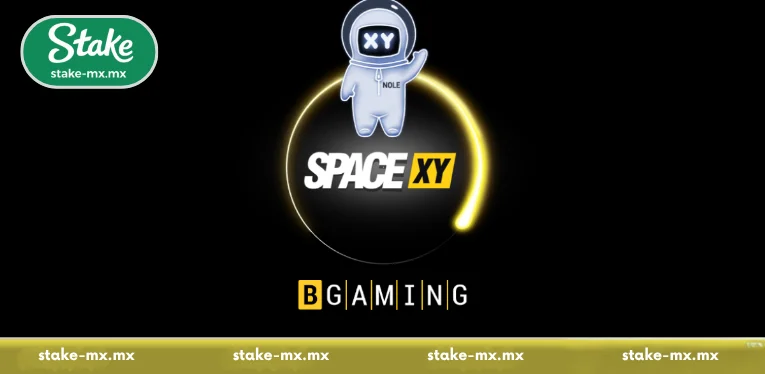 An Overview of the Space XY Universe