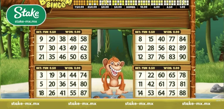Basic Banana Bingo rules for new players