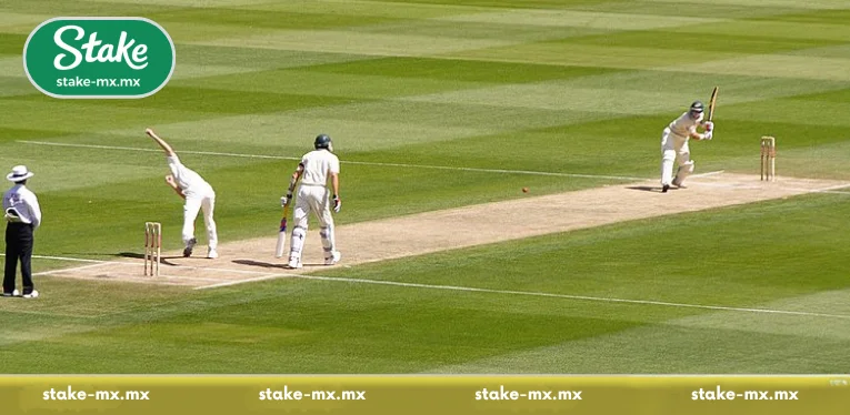 Introduction to Cricket Betting Stake