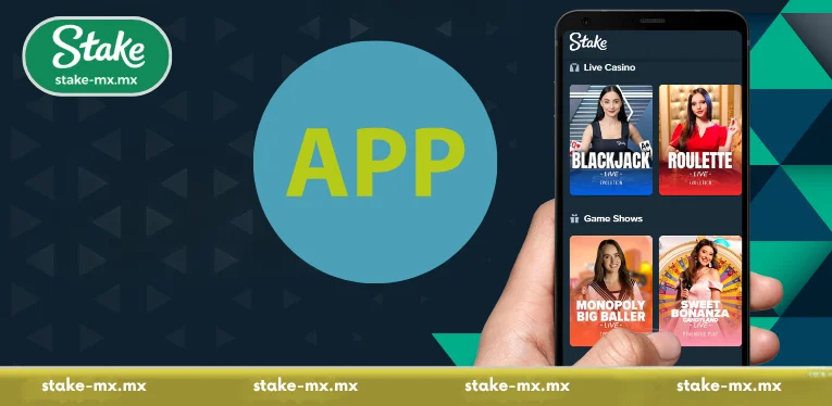 Stake App Guide - Master Your Mobile Gaming Experience